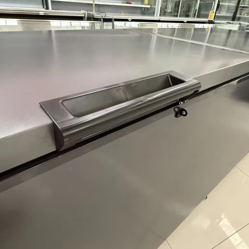 ตู้แช่แข็งแบบแนวนอน ประตูคู่ ข - Commercial Chest Freezer บทวิจารณ์และราคา
