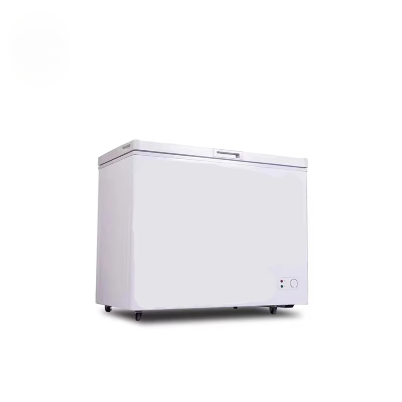 ตู้แช่แข็งแนวนอนเชิงพาณิชย์ควา - Commercial Chest Freezer บทวิจารณ์และราคา
